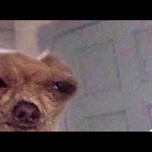 Meet your Posher, ðððððð